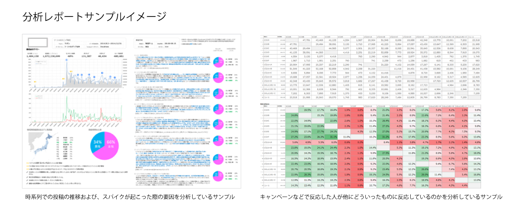 SNS分析レポートサンプル